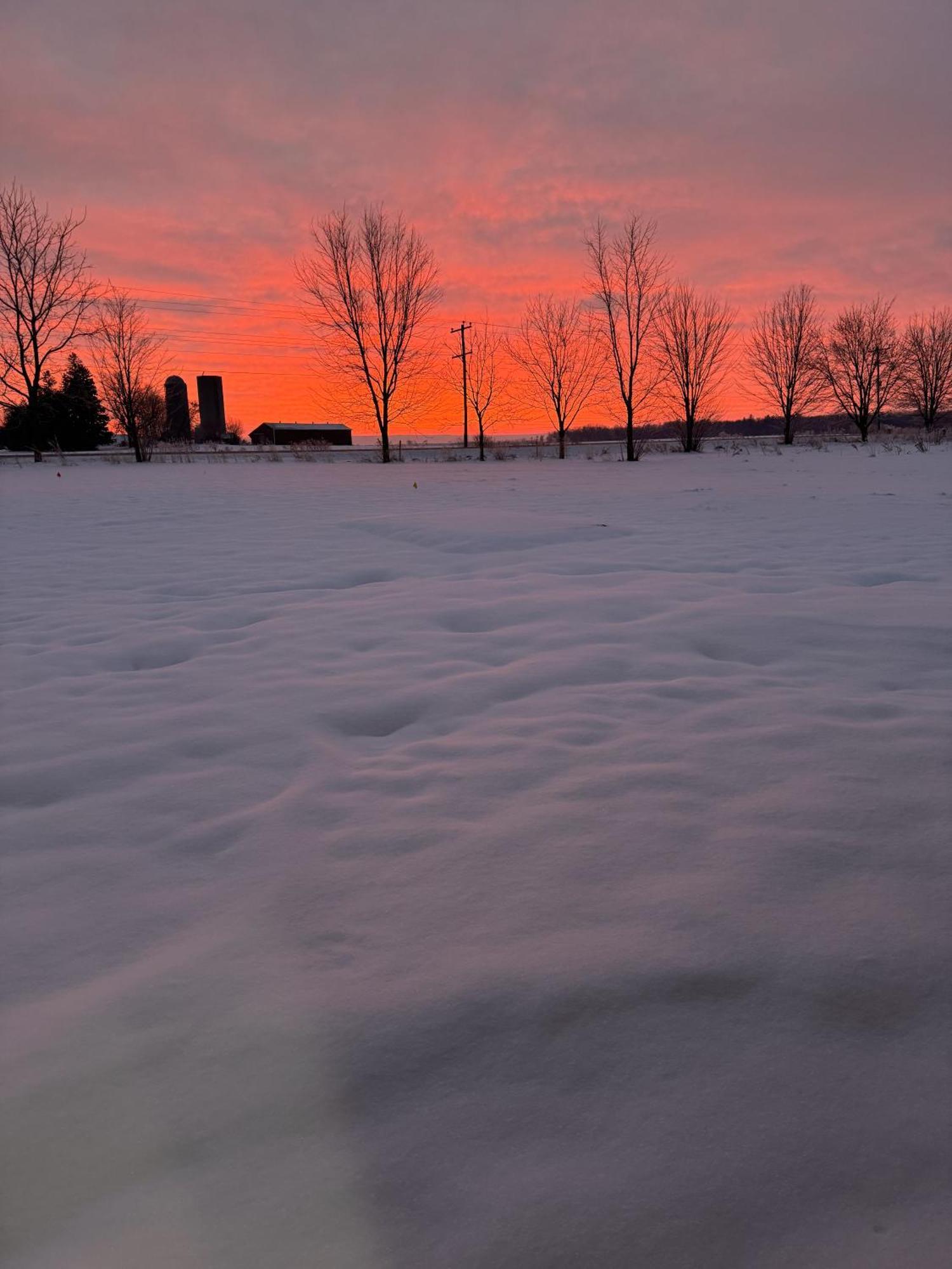 Stone Willow Inn Saint Marys Bagian luar foto