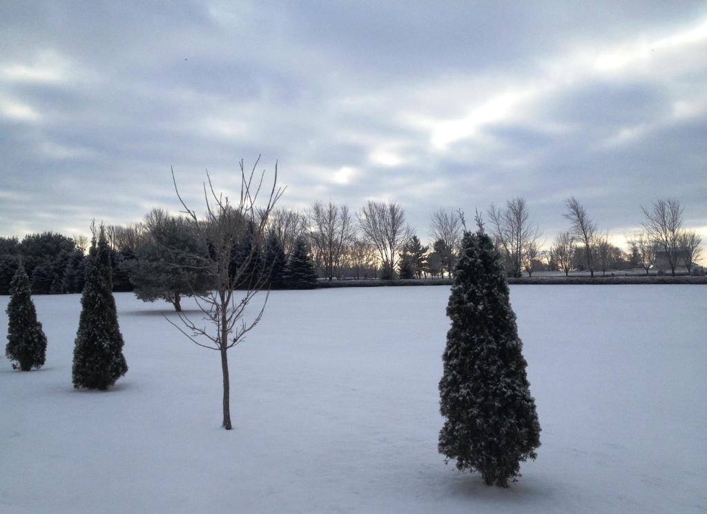 Stone Willow Inn Saint Marys Bagian luar foto